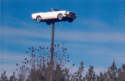 Bingham Automotive, Denton NC